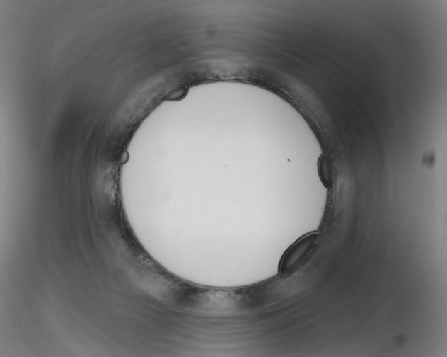 X0000116150121201001041101