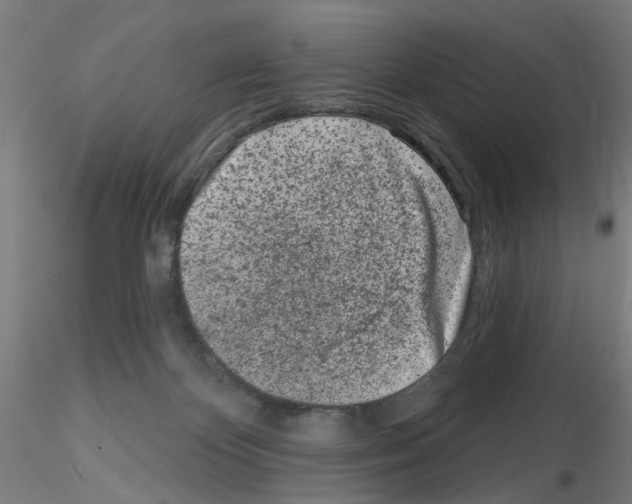 X0000116150124201001041101