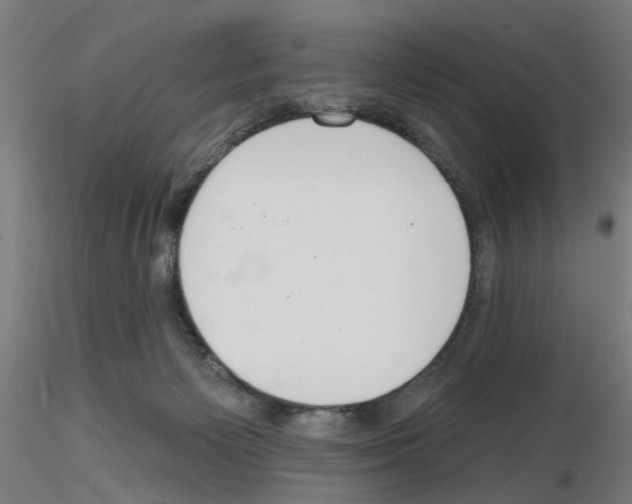 X0000116150125201001041101