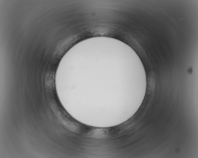 X0000116150126201001041101