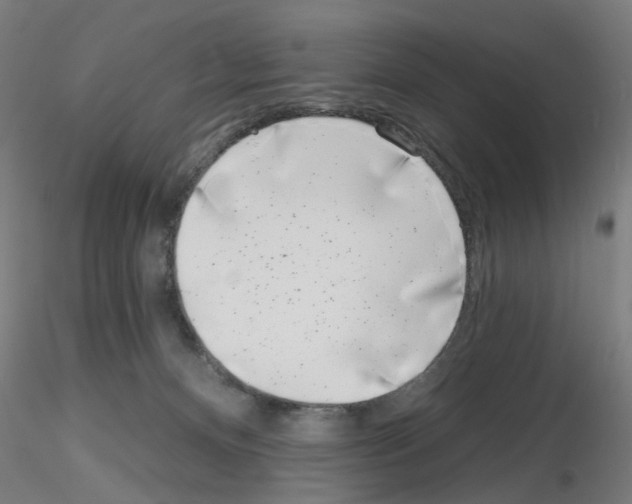 X0000116150128201001041101