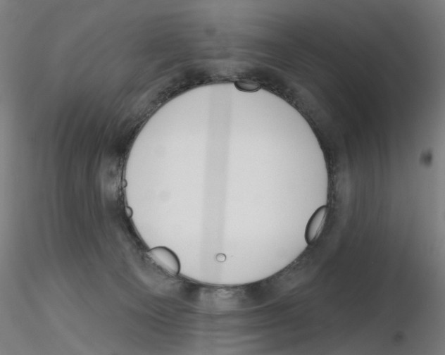 X0000116150129201001041101