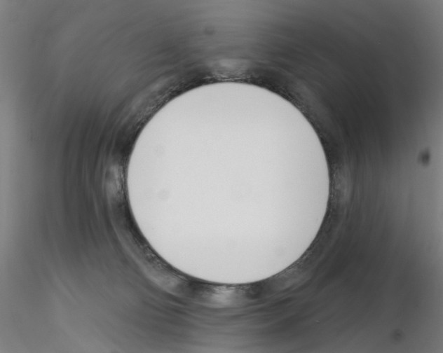 X0000116150130201001041101