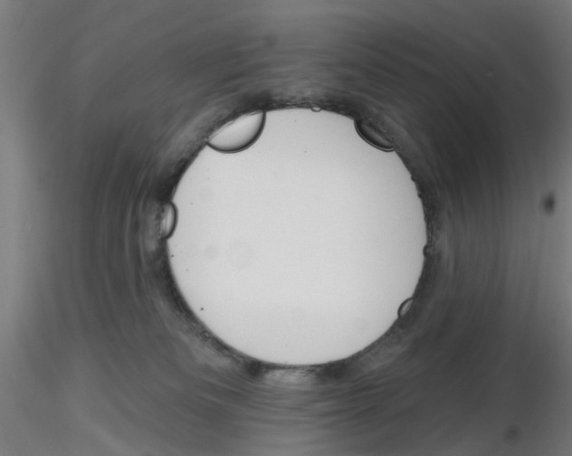 X0000116150133201001041101