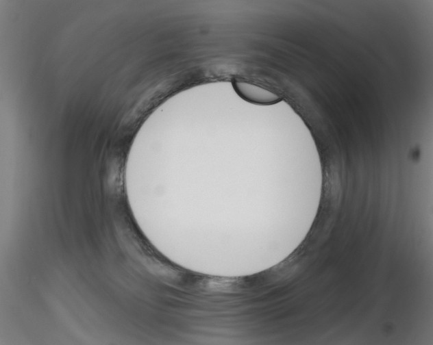 X0000116150134201001041101