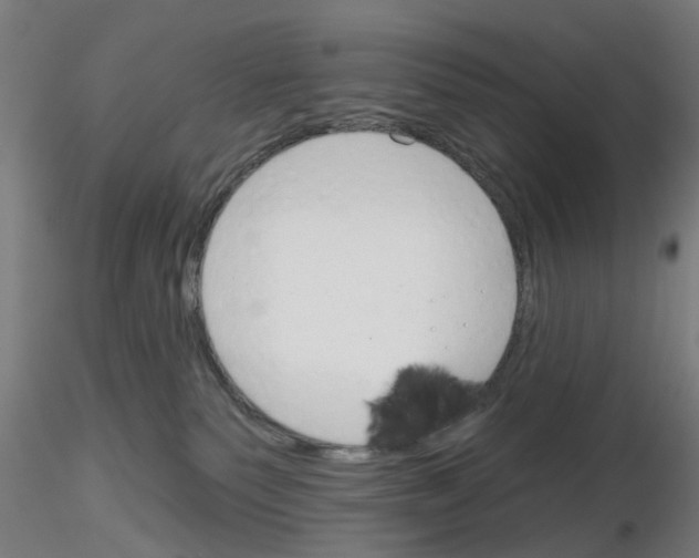 X0000116150135201001041101