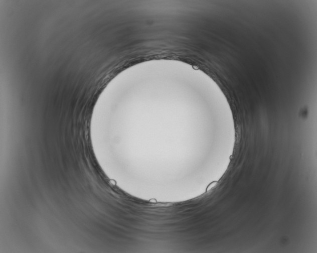 X0000116150136201001041101