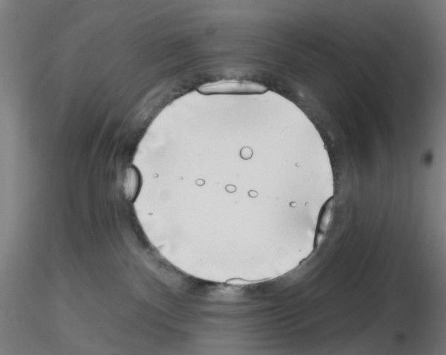 X0000116150140201001041101