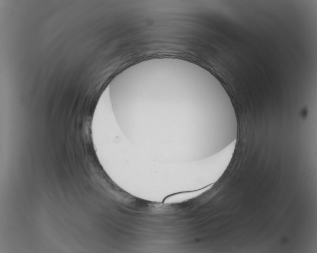 X0000116150141201001041101