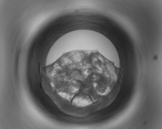 X0000116150143201001041101