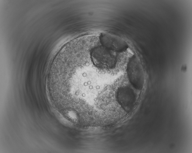 X0000116150145201001041100