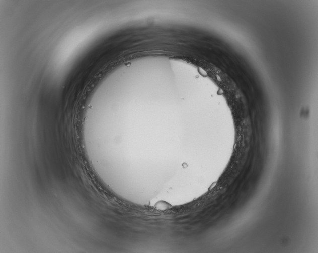 X0000116150146201001041100