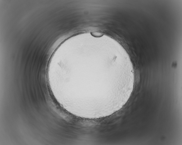 X0000116150147201001041100