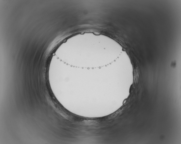 X0000116150150201001041100