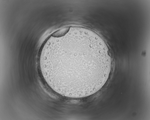 X0000116150151201001041100