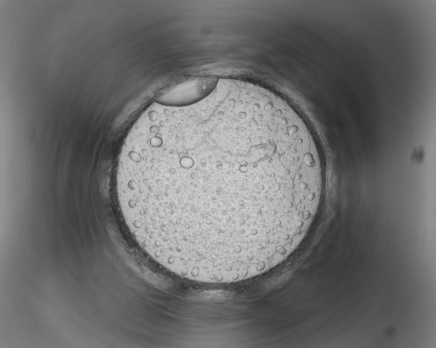 X0000116150153201001041100