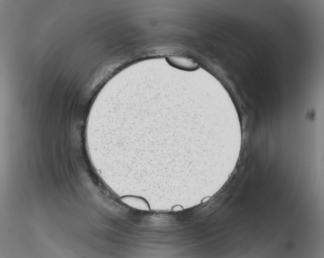 X0000116150154201001041100