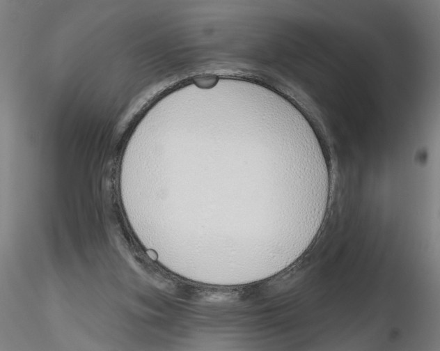 X0000116150155201001041100