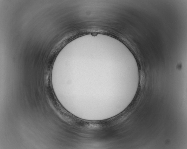 X0000116150157201001041100