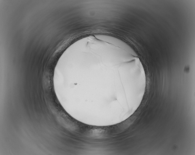 X0000116150158201001041100