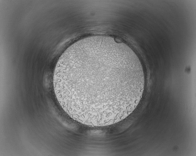 X0000116150161201001041101