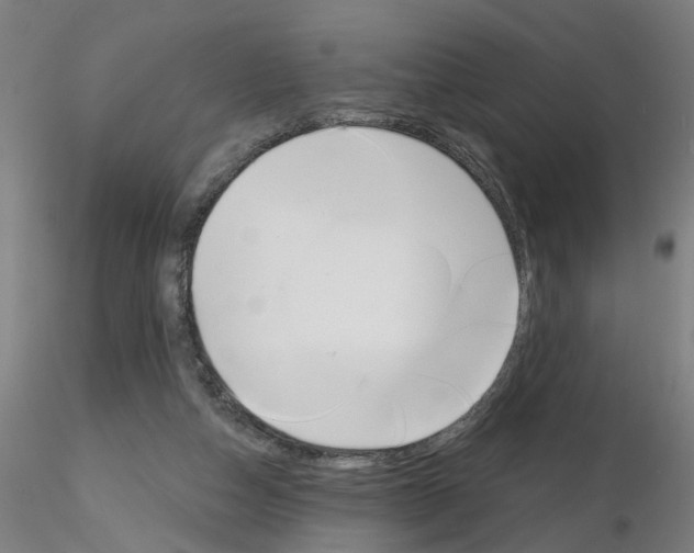 X0000116150162201001041101