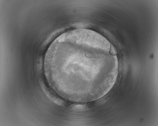 X0000116150163201001041101