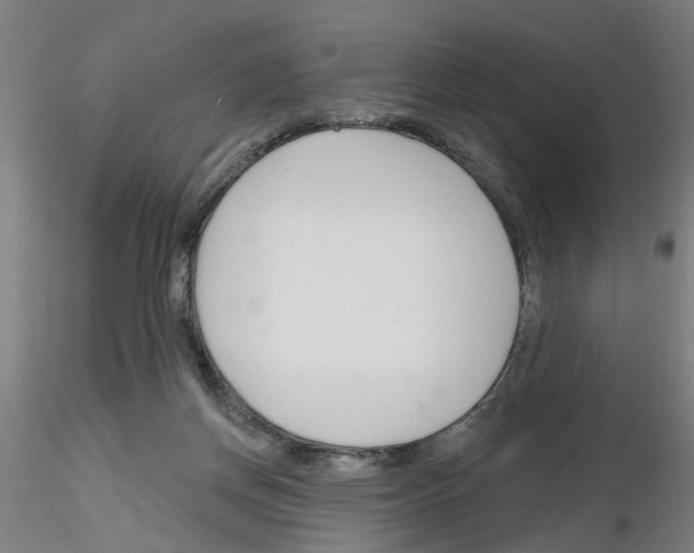 X0000116150166201001041101