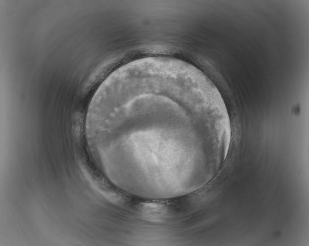 X0000116150167201001041101