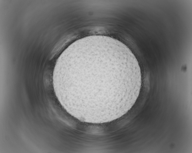 X0000116150169201001041101