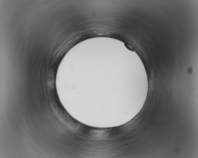 X0000116150170201001041101