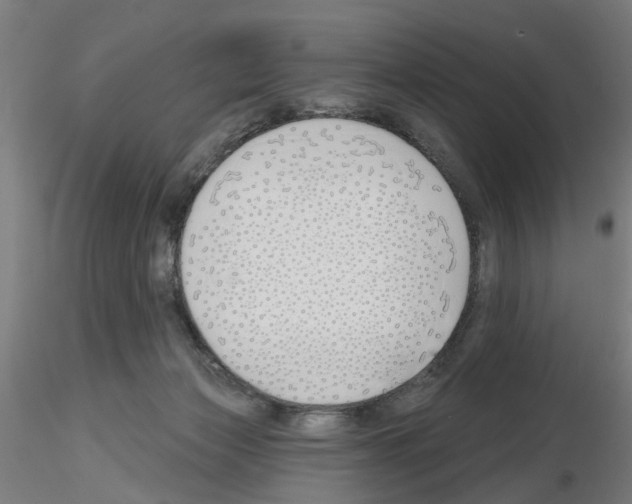 X0000116150173201001041101