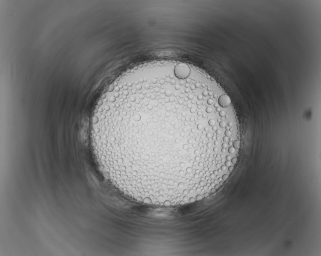 X0000116150175201001041101