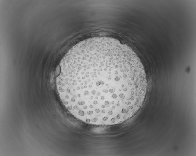 X0000116150178201001041101