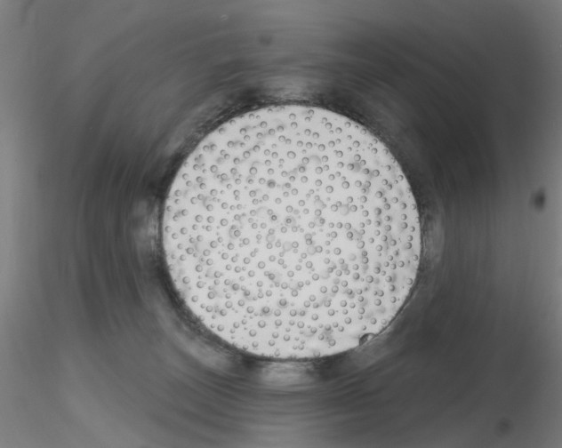 X0000116150179201001041101