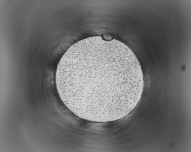 X0000116150182201001041101