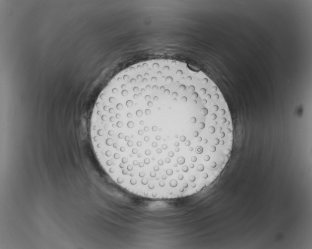 X0000116150183201001041101