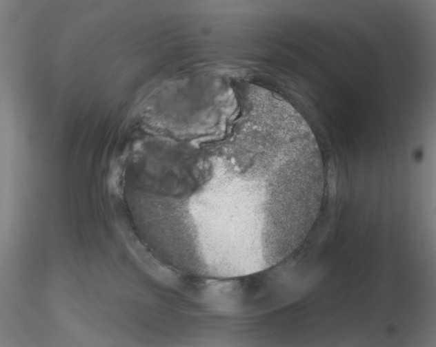 X0000116150185201001041101