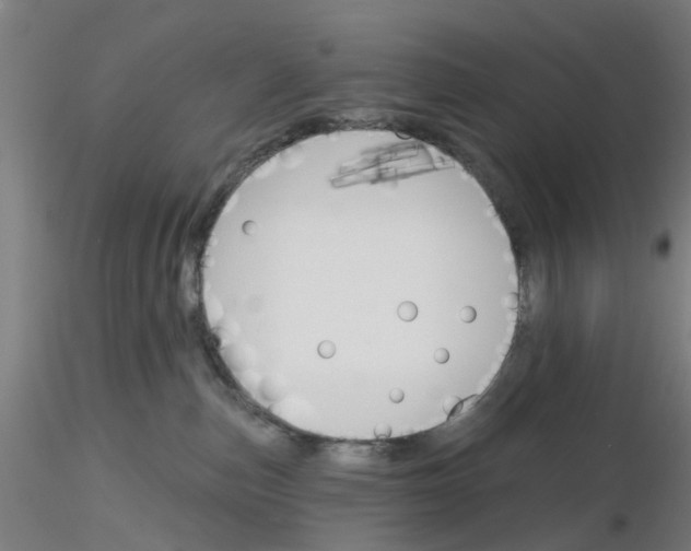 X0000116150187201001041101