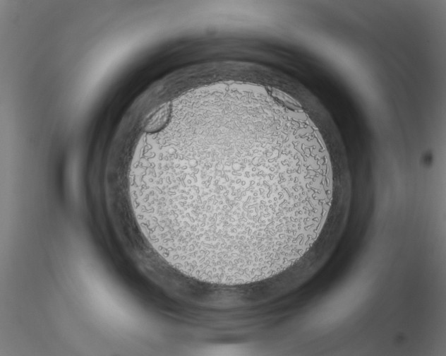 X0000116150189201001041101