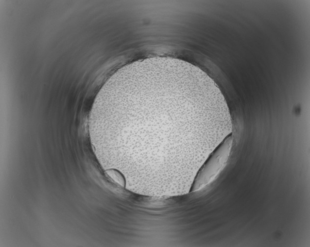 X0000116150191201001041101