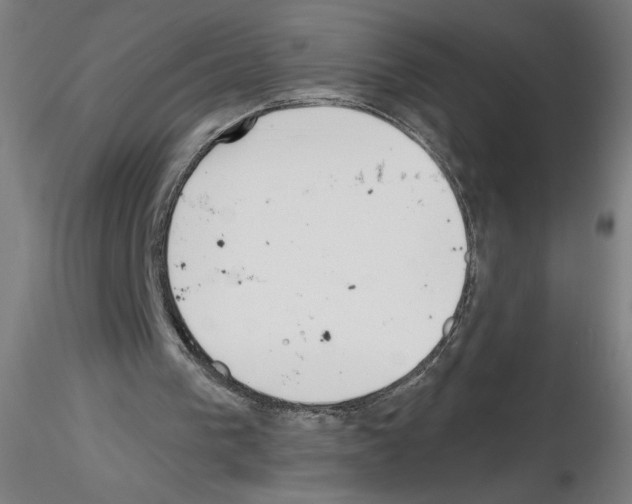 X0000116150193201001041100