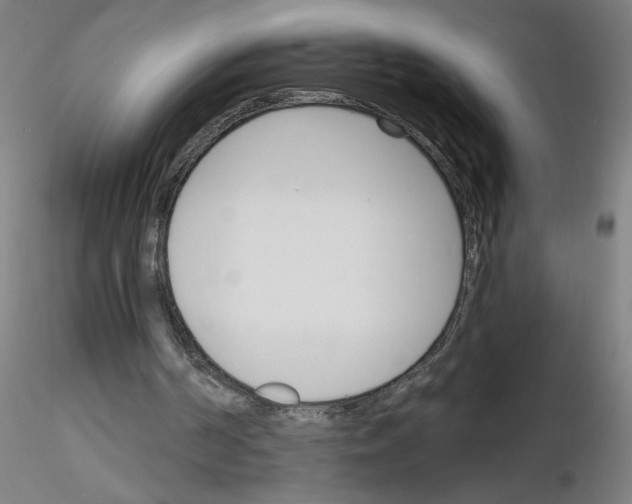 X0000116150194201001041100