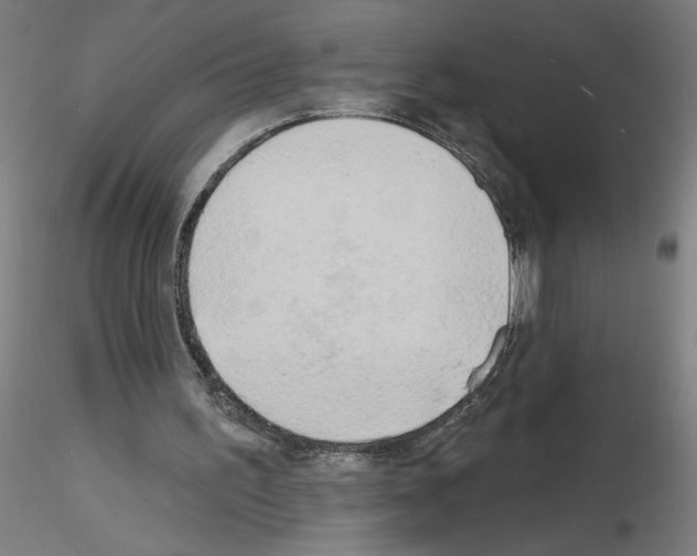 X0000116150195201001041100