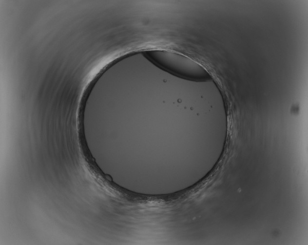 X0000116150196201001041100