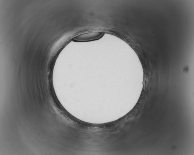 X0000116150197201001041100