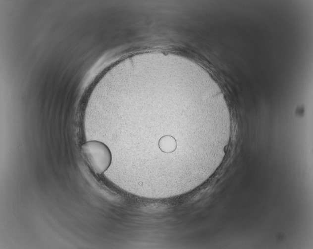 X0000116150198201001041100