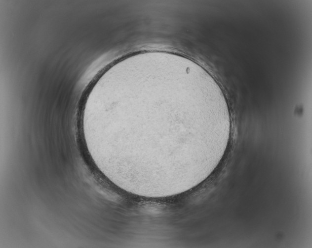 X0000116150199201001041100