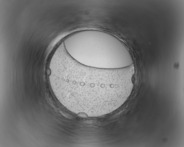 X0000116150200201001041100