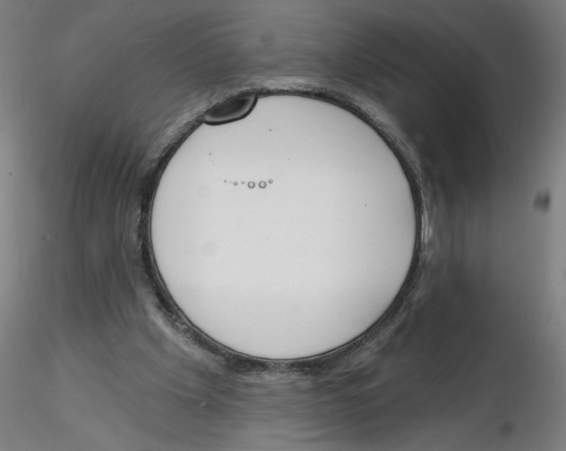 X0000116150201201001041100